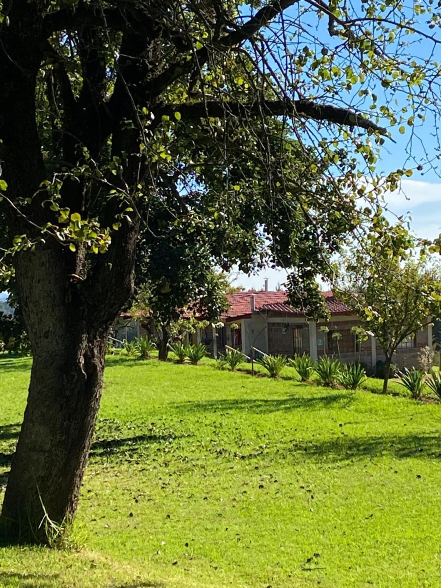Cabañas Huerta la Mision Zacatlán Exterior foto